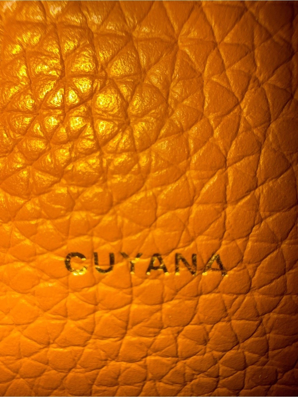 Cuyana Linea Bucket Bag Leather Tote in Brown - Picture 5 of 5